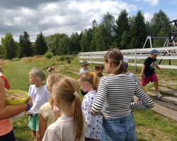 5 tydzień wakacji