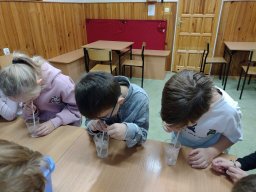 IMG_20241113_093709565_BURST008