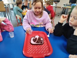 IMG_20250130_113015