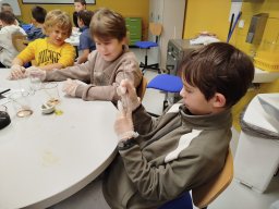 IMG_20250128_110242