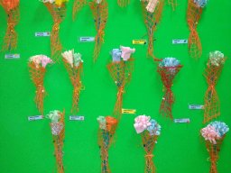 IMG_20241106_112709636