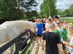 IMG_20250716_110457