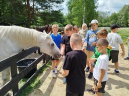 IMG_20250716_110502