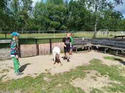 IMG_20250716_111336