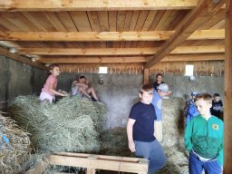 IMG_20250716_112351