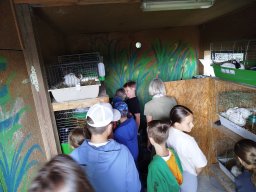 IMG_20250716_113021