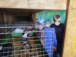 IMG_20250716_113032