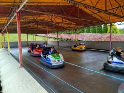 IMG_20250723_122629_copy_1600x1200