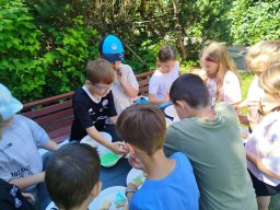 IMG_20250630_104902
