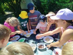 IMG_20250630_113733