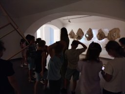IMG_20250702_113801