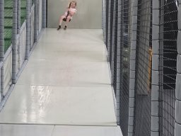 20250701_122952
