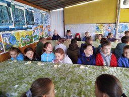 IMG_20250513_085403