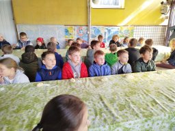 IMG_20250513_085408