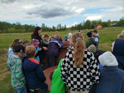 IMG_20250513_094525