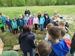 IMG_20250513_095124