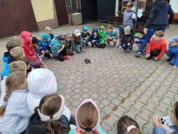 IMG_20250513_100231