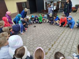 IMG_20250513_100236
