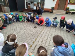 IMG_20250513_100253