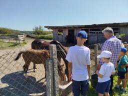 img_20260730_102105