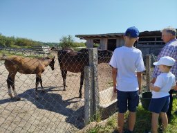 img_20260730_102109