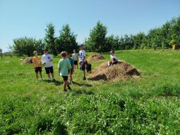 img_20260730_104707