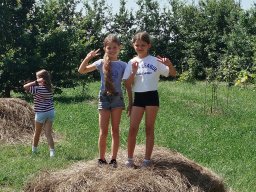 img_20260730_112601