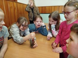 IMG_20260303_144422
